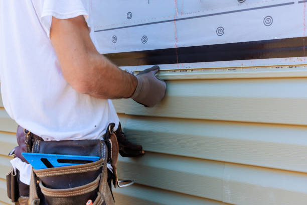 Affordable Vinyl Siding solutions in Alexandria, VA